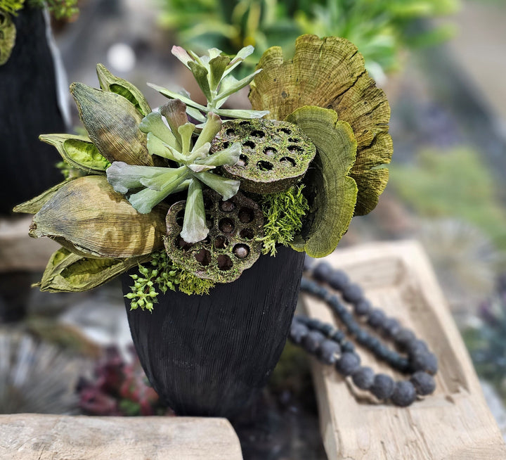 Succulents, Sora Pods and Mushrooms in Textured Ceramic Black Vase. 14"H - LDF Silk