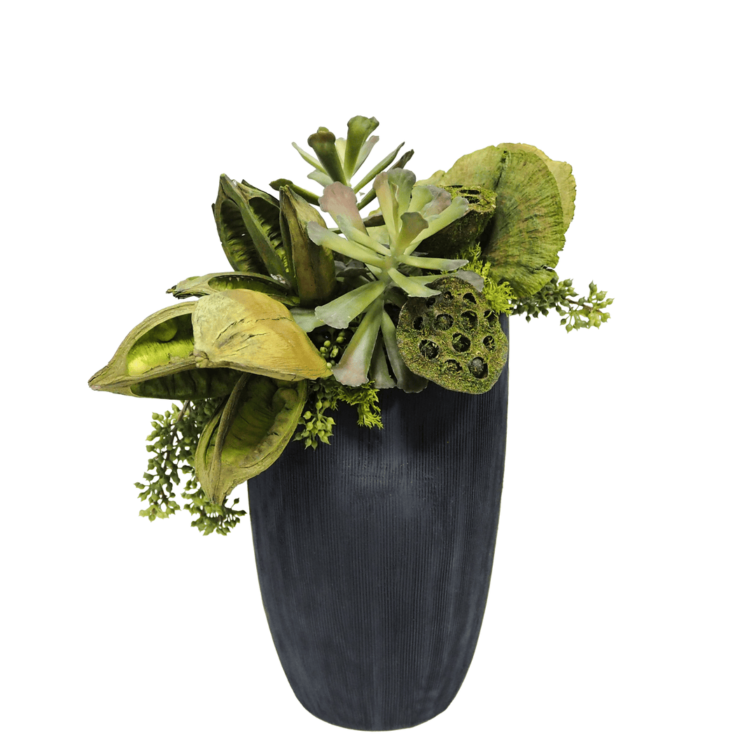 Succulents, Sora Pods and Mushrooms in Textured Ceramic Black Vase. 14"H - LDF Silk