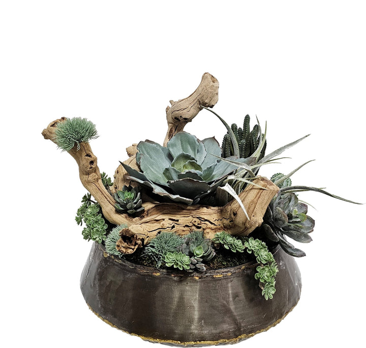 Succulents, Tillandsia, and Grapewood in Bowl FH: 15"H - LDF Silk