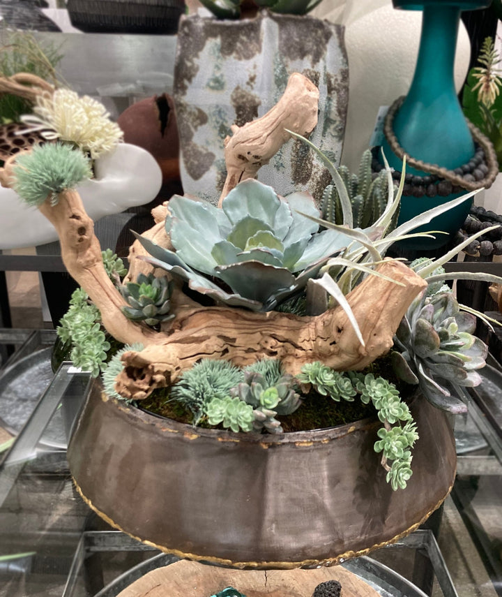 Succulents, Tillandsia, and Grapewood in Bowl FH: 15"H - LDF Silk