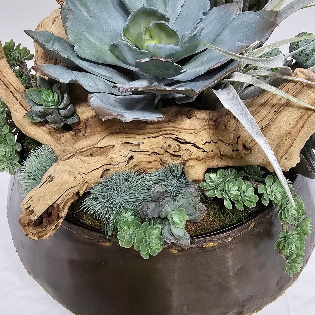 Succulents, Tillandsia, and Grapewood in Bowl FH: 15"H - LDF Silk