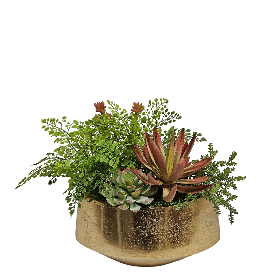 Succulents with Maindenhair Fern in Gold Metal Container 13"H - LDF Silk