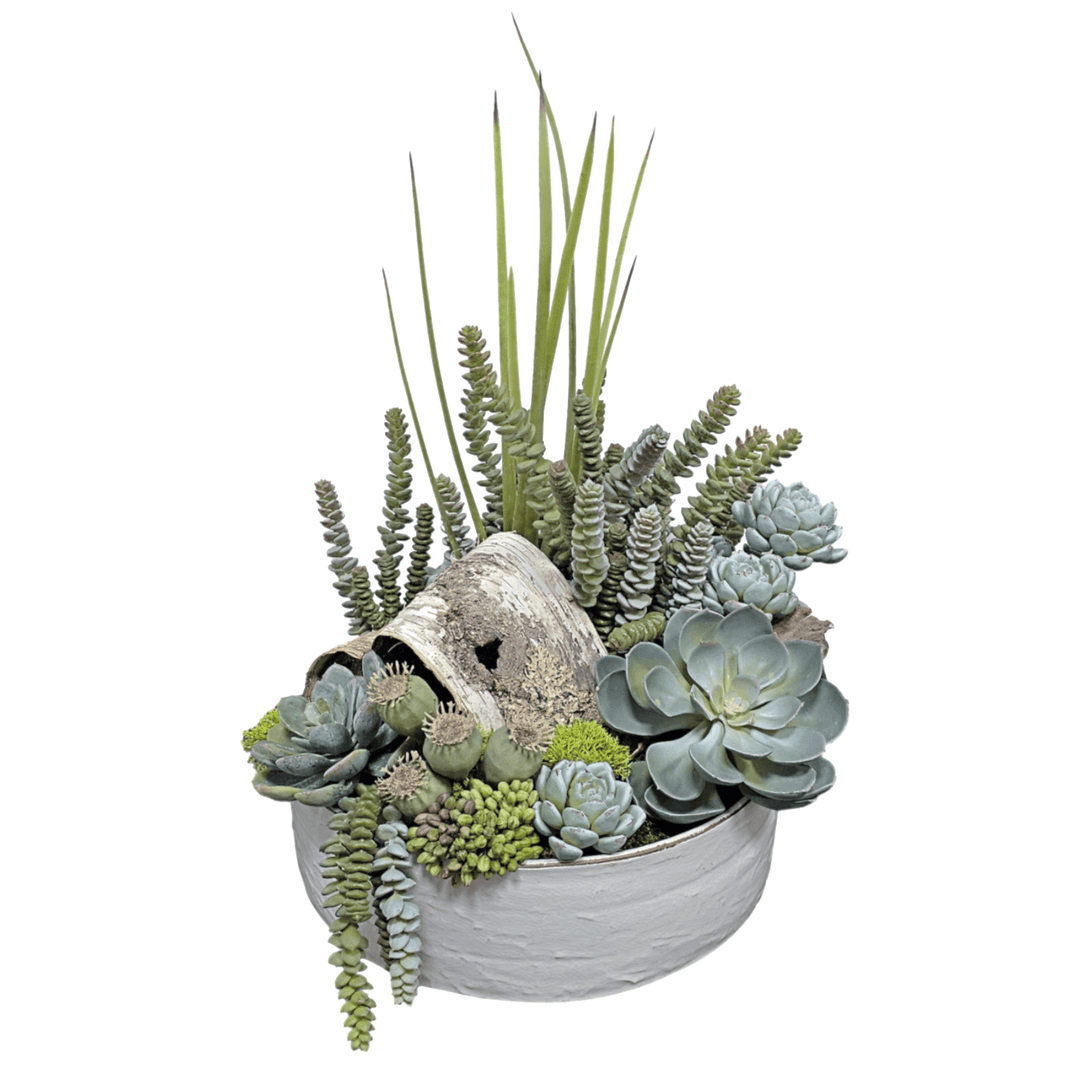 Succulents with Natural Birch Bark in Ceramic Bowl. FH:20" - LDF SilkArtificial Flora