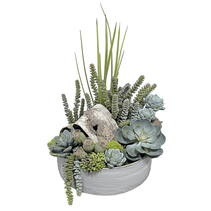 Succulents with Natural Birch Bark in Ceramic Bowl. FH:20" - LDF SilkArtificial Flora
