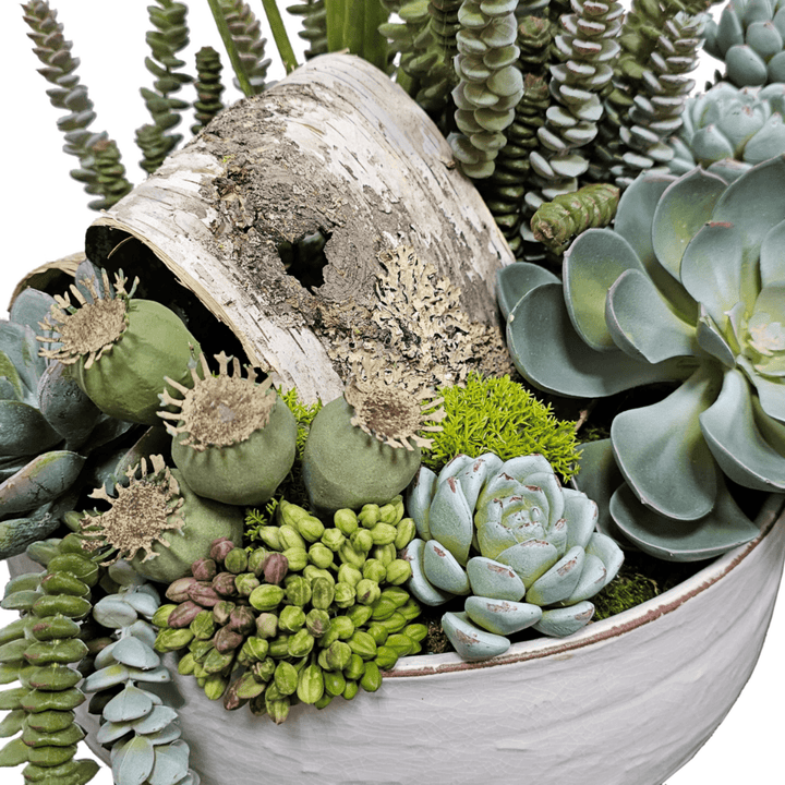Succulents with Natural Birch Bark in Ceramic Bowl. FH:20" - LDF SilkArtificial Flora