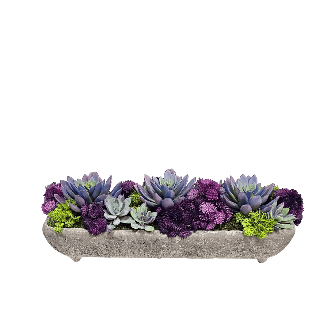 Succulents with Sedum in Textured Concrete 5.5"H - LDF Silk