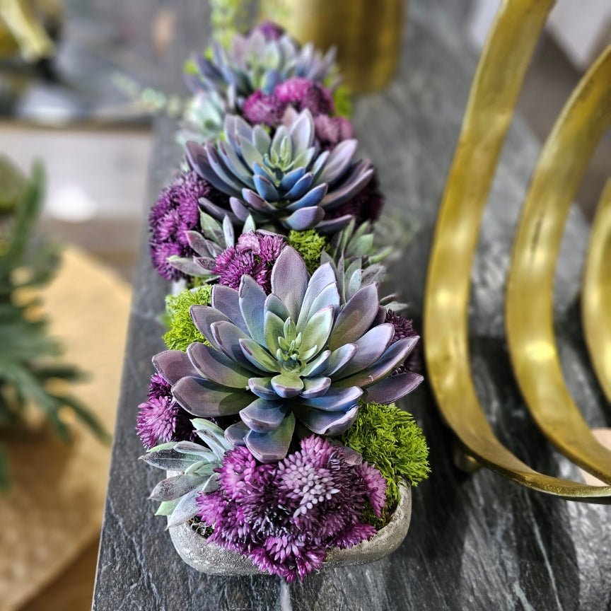 Succulents with Sedum in Textured Concrete 5.5"H - LDF Silk