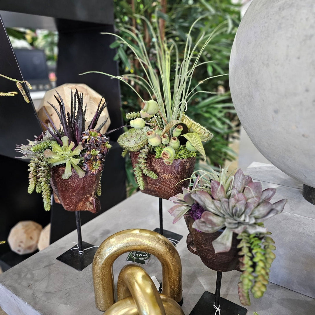 Succulents with Tillandsia and Burro's Tail in Antique Wood Cow Bell on Stand 13.5"H - LDF Silk
