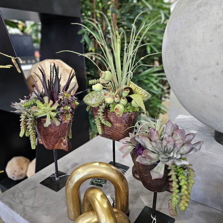 Succulents with Tillandsia and Burro's Tail in Antique Wood Cow Bell on Stand 13.5"H - LDF Silk