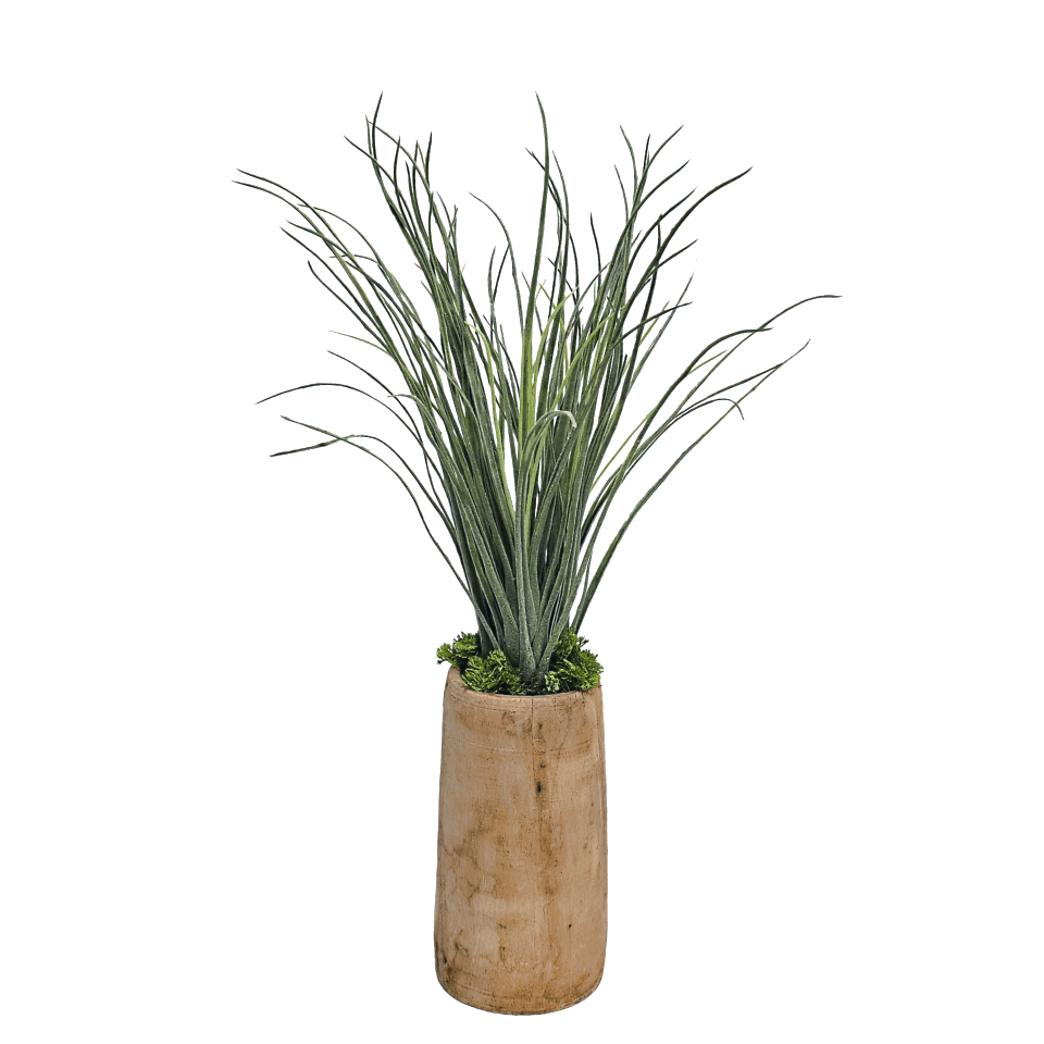 Tall Tillandsia in One of Kind Antique Wood Vase 23"H x 11"Dia - LDF Silk