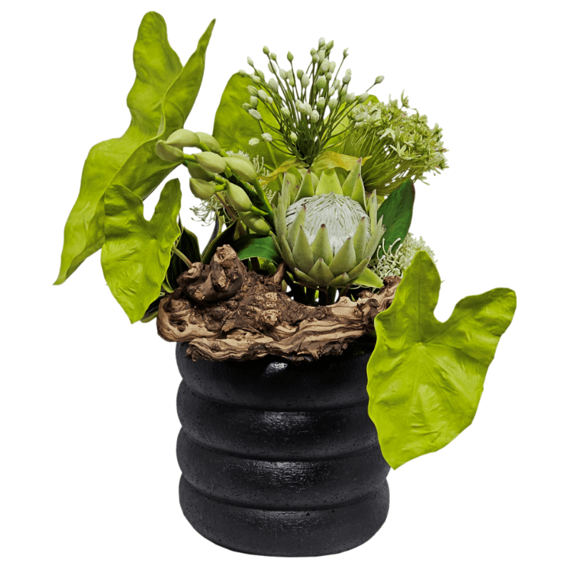Taro Leaves with Protea and Allium and Wood Fragment in Ceramic FH: 23" - LDF Silk