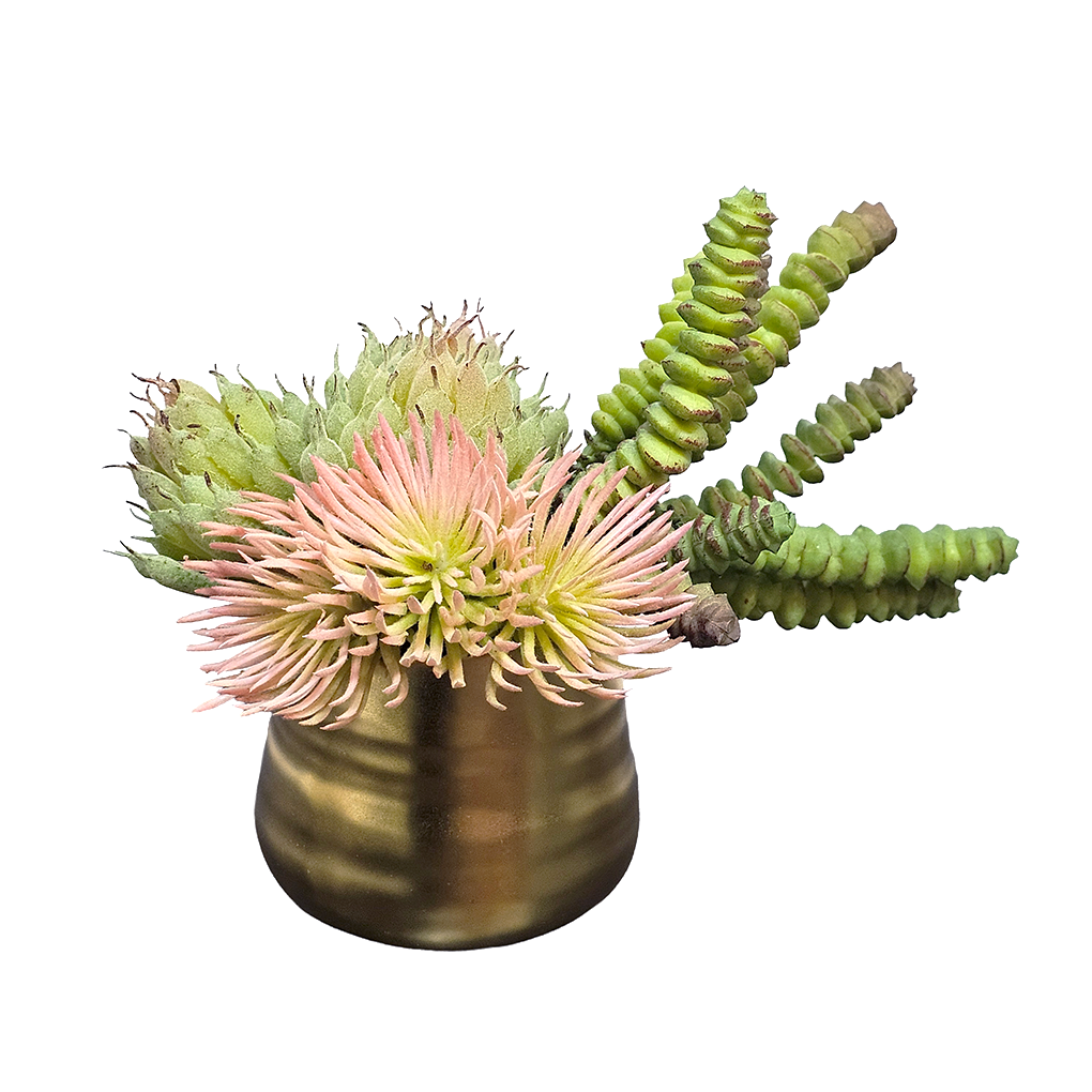 Thistle with Succulents in Ceramic 6.5"H - LDF Silk