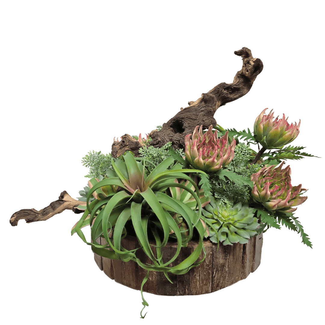 is tillandsia a succulent Tillandsia and Succulents with Wood Fragment in Wood Bowl 21"H – LDF Silk