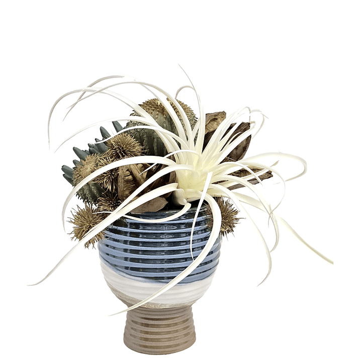 Tillandsia, Barrel Cactus, Aeonium and Sora Pods in Ceramic 13"H - LDF Silk