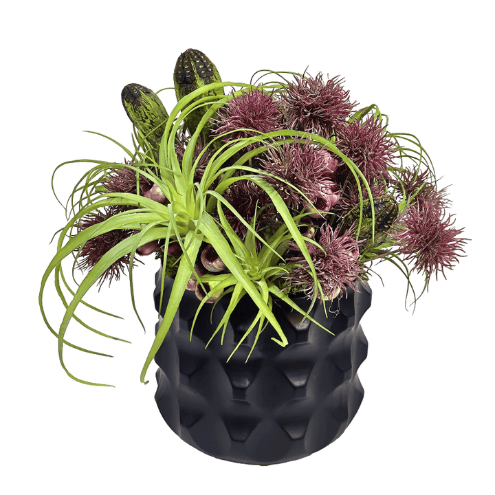Tillandsia, Berries, Spikey Flowers, Mahogany Pods in Textured Ceramic 16"H - LDF Silk