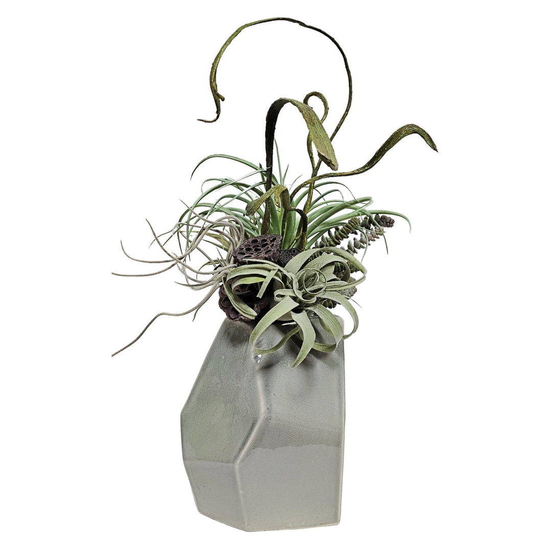 Tillandsia, Burro's Tail, Dried Lotus Pods and Staghorn Fern in Glazed Geometric Ceramic 24"H - LDF Silk