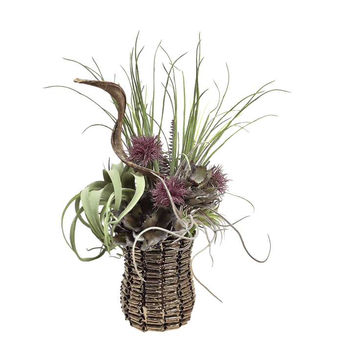 Tillandsia, Curly Vine, Thistle and Donkey Tail in Textured Ceramic Vase 23"H - LDF Silk