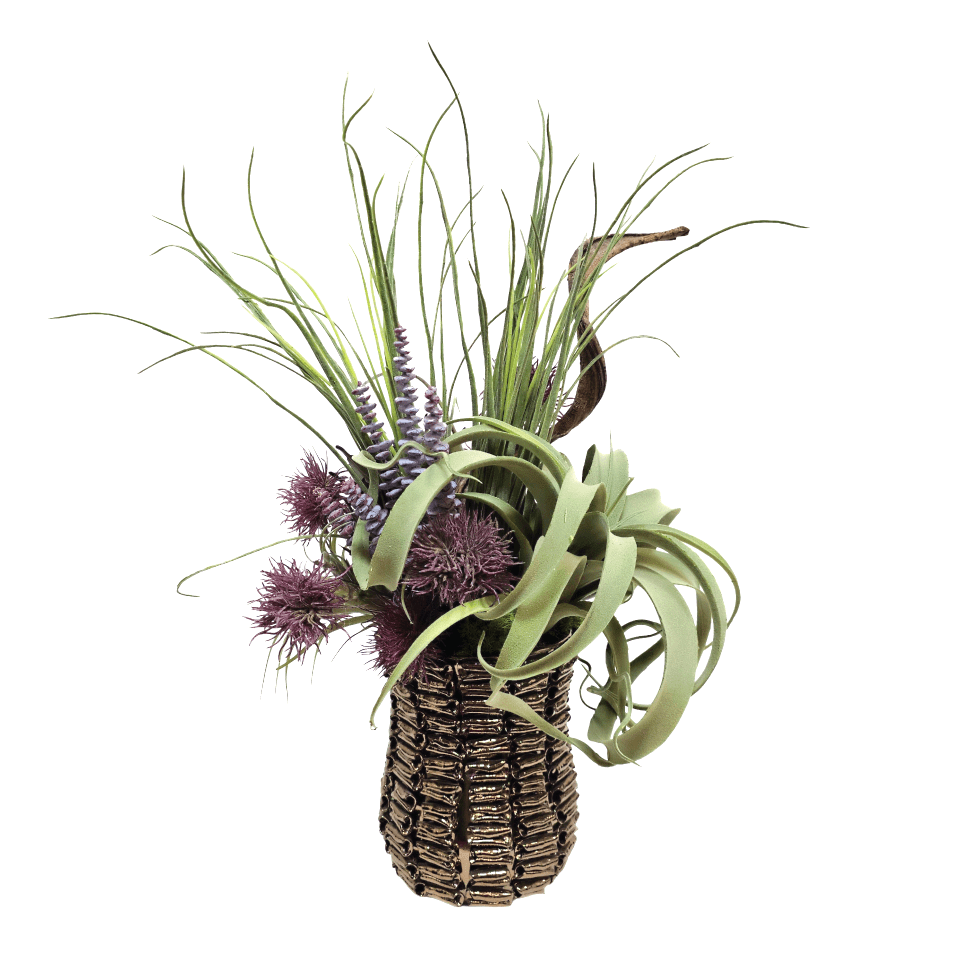 Tillandsia, Curly Vine, Thistle and Donkey Tail in Textured Ceramic Vase 23"H - LDF Silk