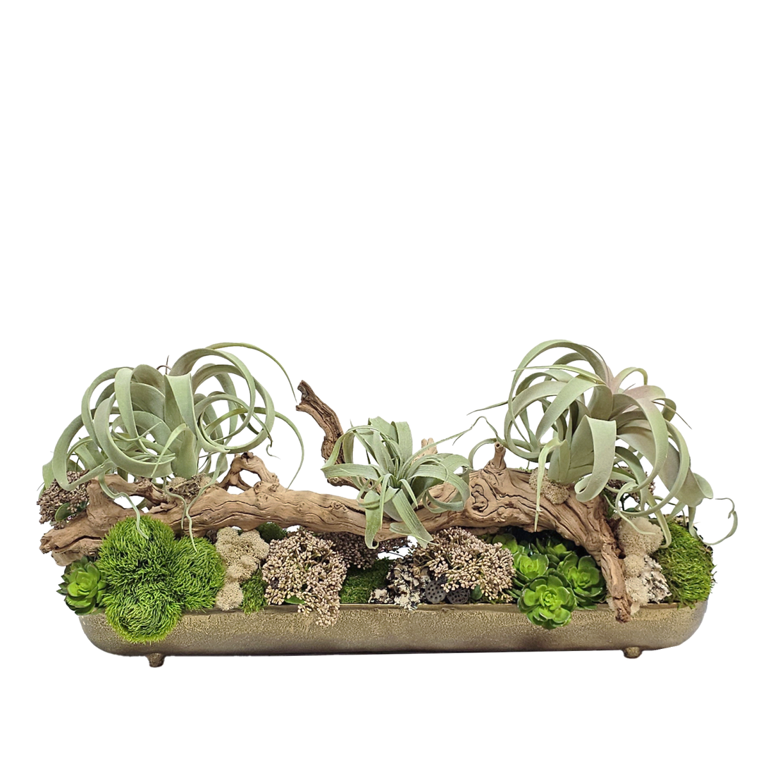 Tillandsia, Dinathus, Sedum, and Grape Wood in Footed Metal Trough 15"H - LDF Silk