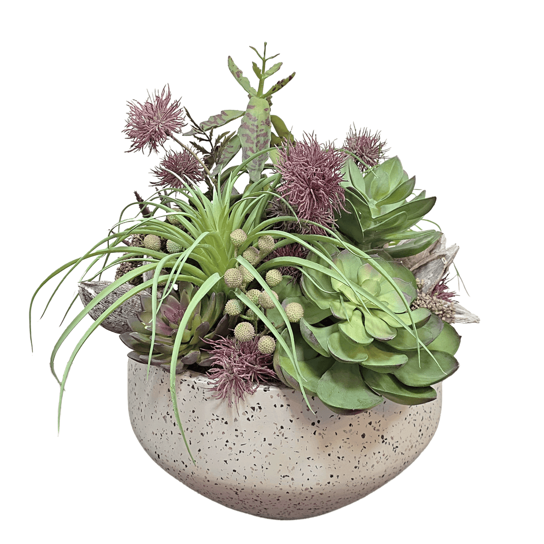 Tillandsia, Echeveria, Allium Flowers, Sora Pods and Berries in Terrazzo Bowl 19"H - LDF Silk