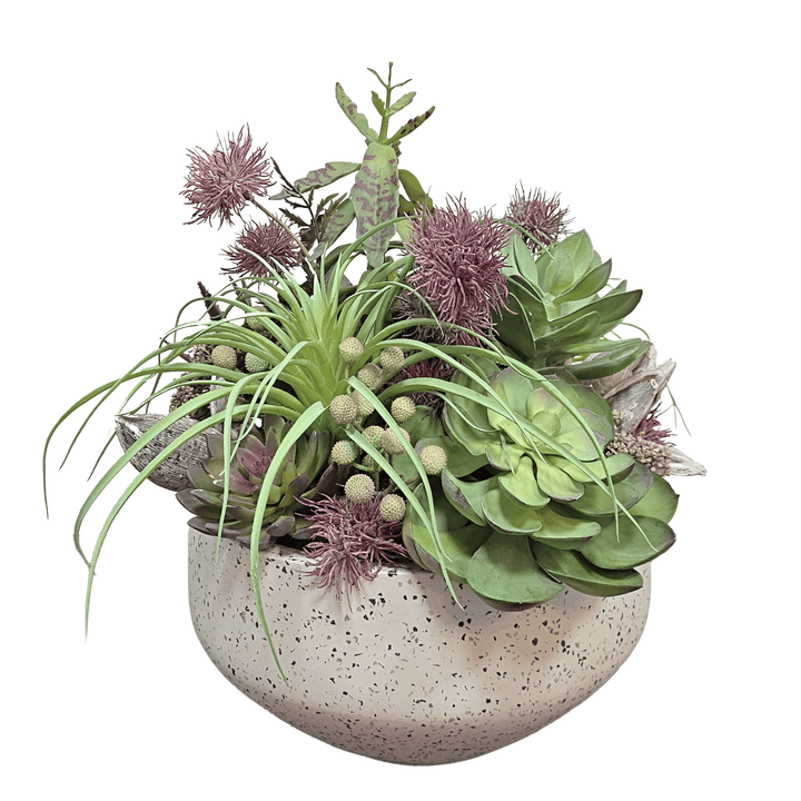 Tillandsia, Echeveria, Allium Flowers, Sora Pods and Berries in Terrazzo Bowl 19"H - LDF Silk