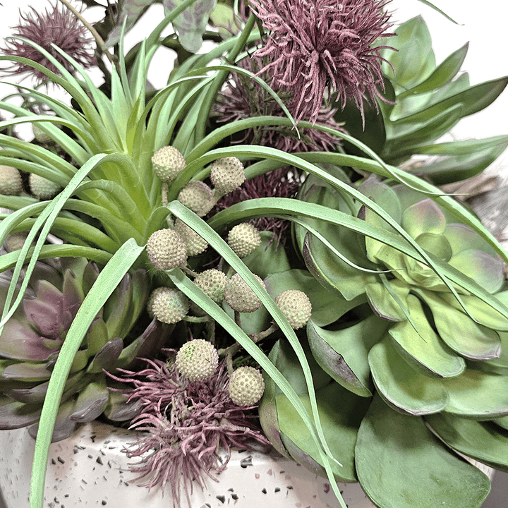Tillandsia, Echeveria, Allium Flowers, Sora Pods and Berries in Terrazzo Bowl 19"H - LDF Silk