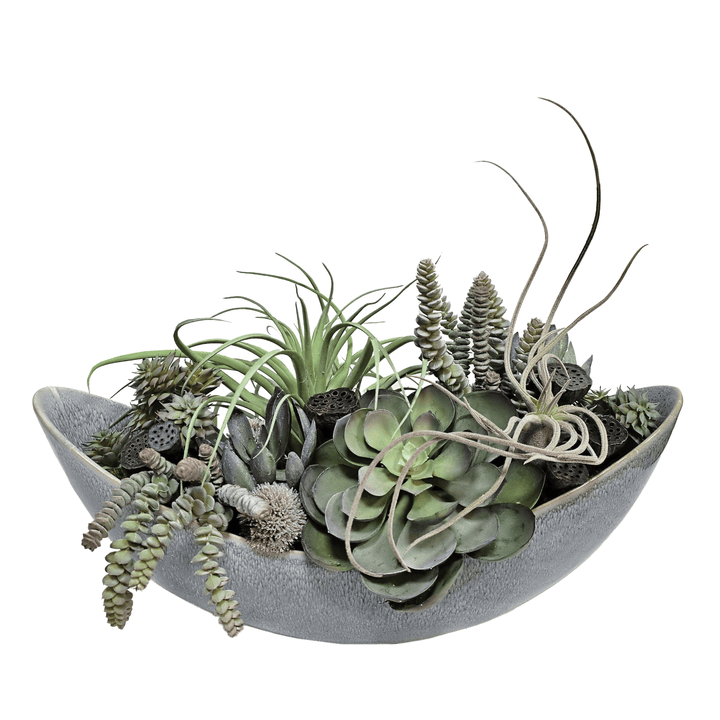 Tillandsia, Echeveria and Burro's Tail in Oval Ceramic 15"H - LDF Silk