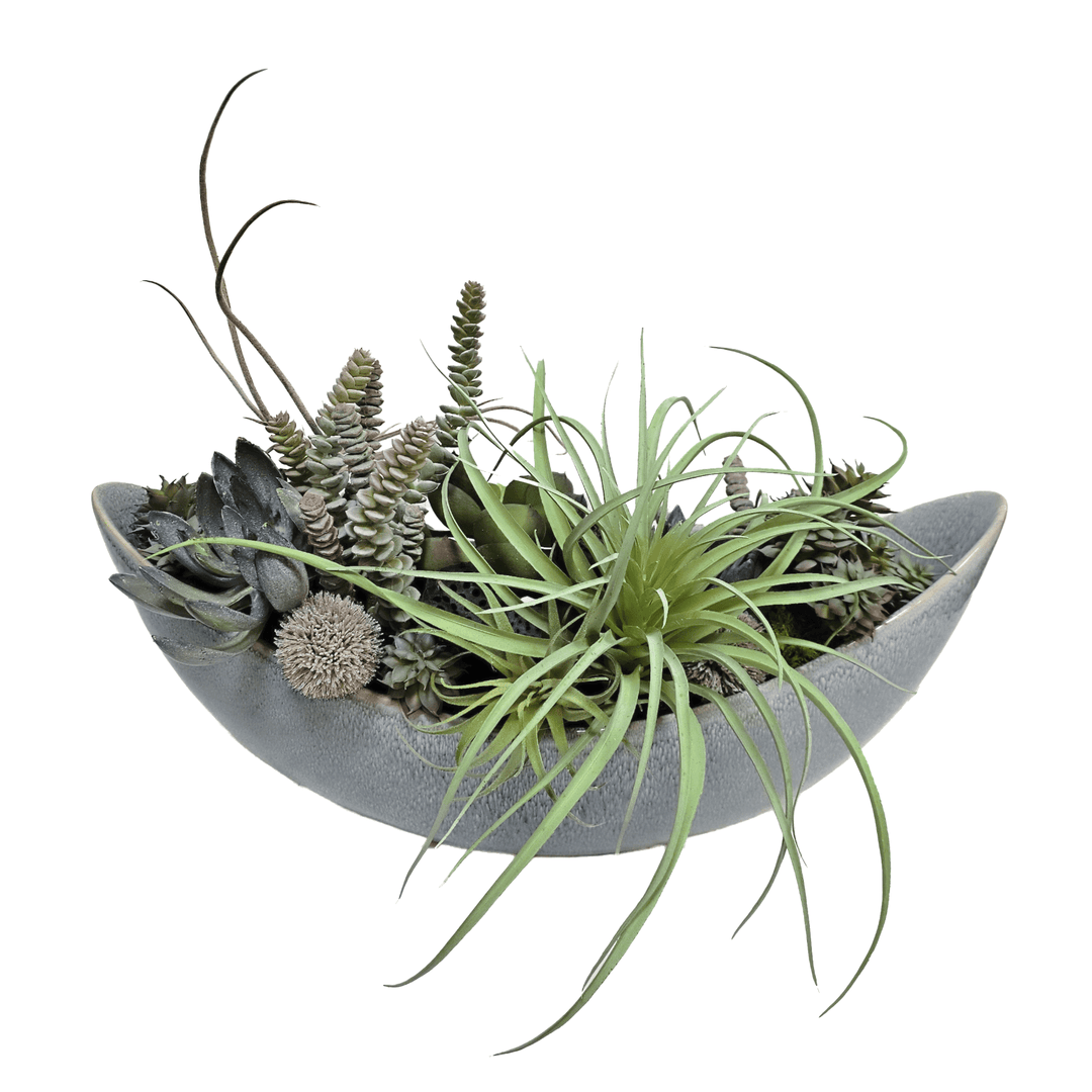 Tillandsia, Echeveria and Burro's Tail in Oval Ceramic 15"H - LDF Silk