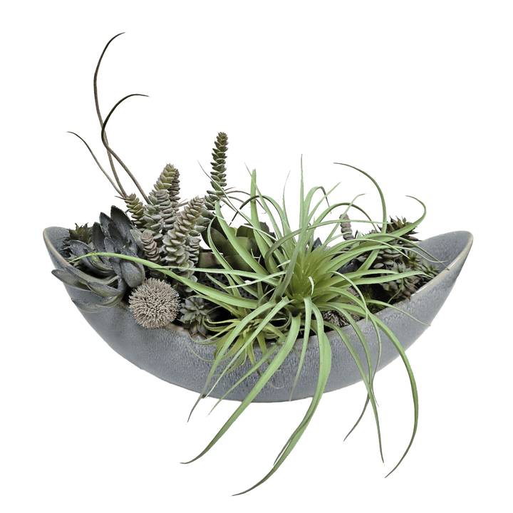 Tillandsia, Echeveria and Burro's Tail in Oval Ceramic 15"H - LDF Silk