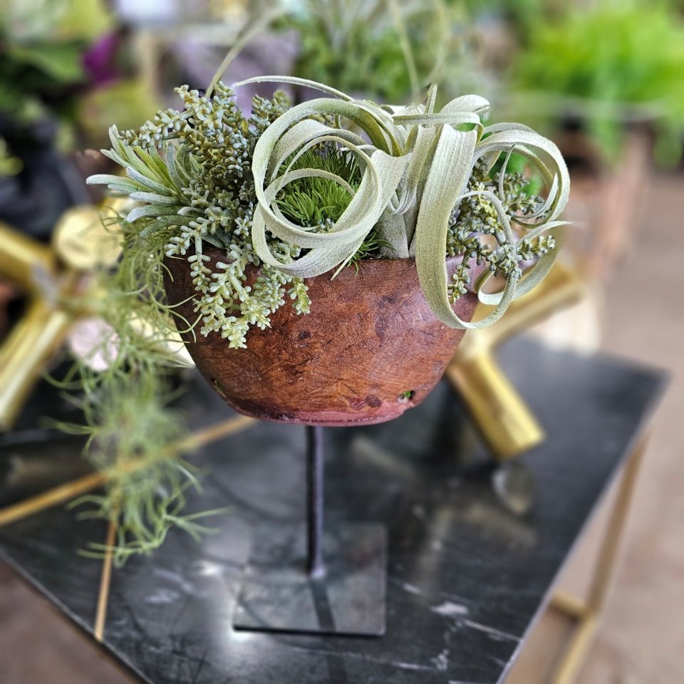 Tillandsia, Mixed Succulents, and Hanging Spanish Moss in Wooden Planter on Stand 14"H - LDF Silk