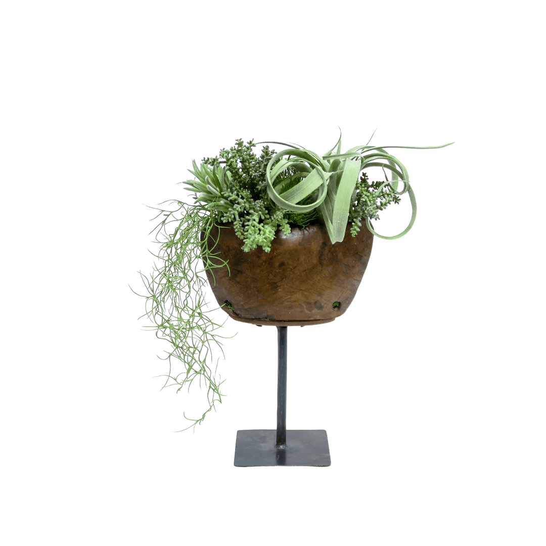 Tillandsia, Mixed Succulents, and Hanging Spanish Moss in Wooden Planter on Stand 14"H - LDF Silk