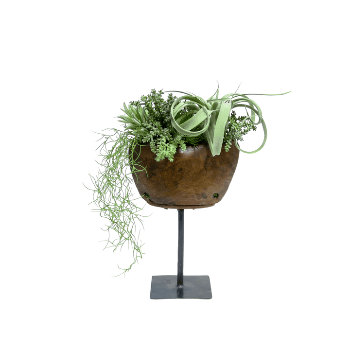 Tillandsia, Mixed Succulents, and Hanging Spanish Moss in Wooden Planter on Stand 14"H - LDF Silk