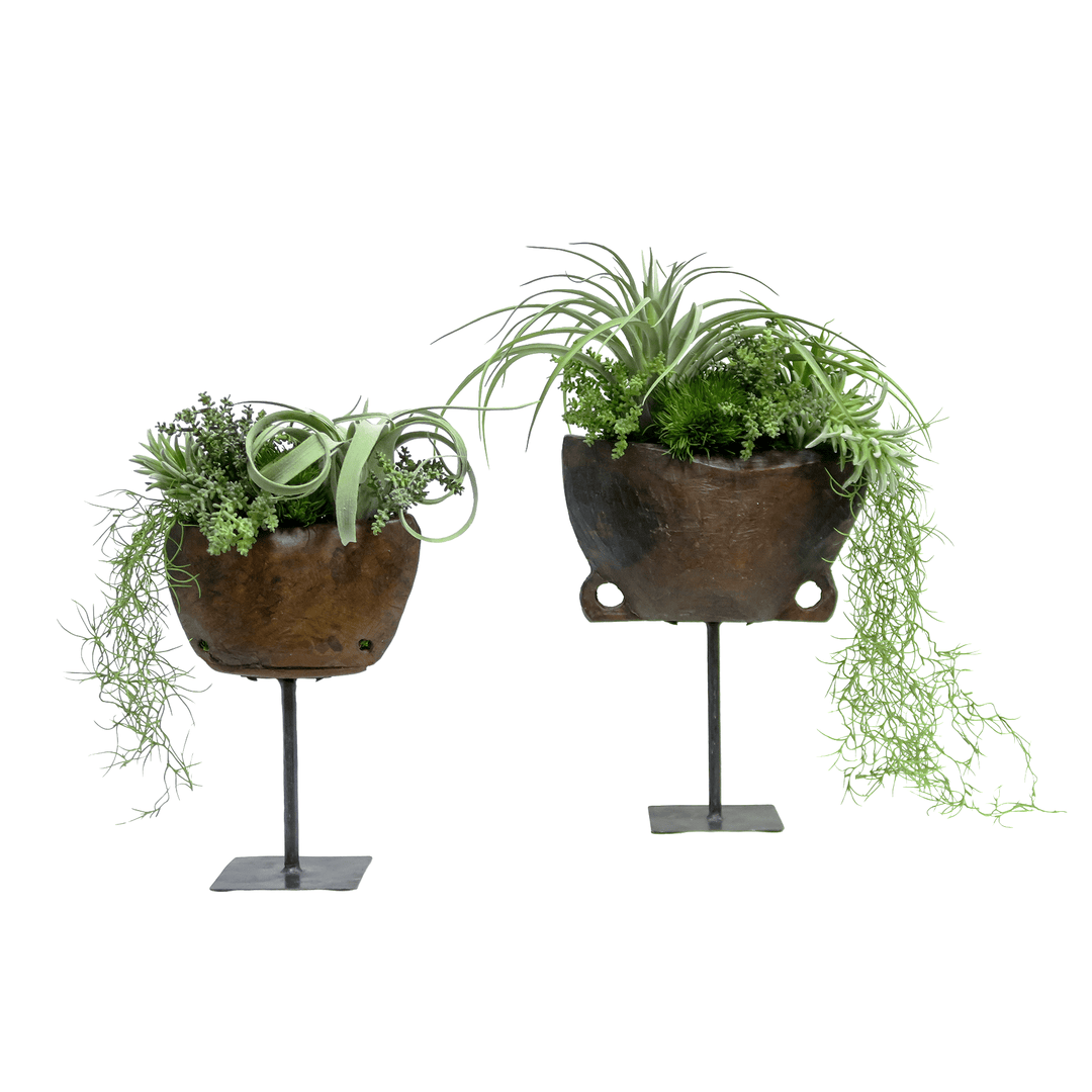Tillandsia, Mixed Succulents, and Hanging Spanish Moss in Wooden Planter on Stand 18"H - LDF Silk