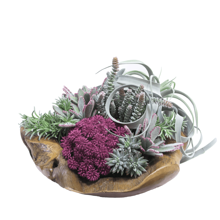 Tillandsia, Panda Plant, Senecio Pick, and Agave in Bowl 14"H - LDF Silk