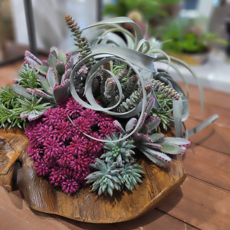 Tillandsia, Panda Plant, Senecio Pick, and Agave in Bowl 14"H - LDF Silk