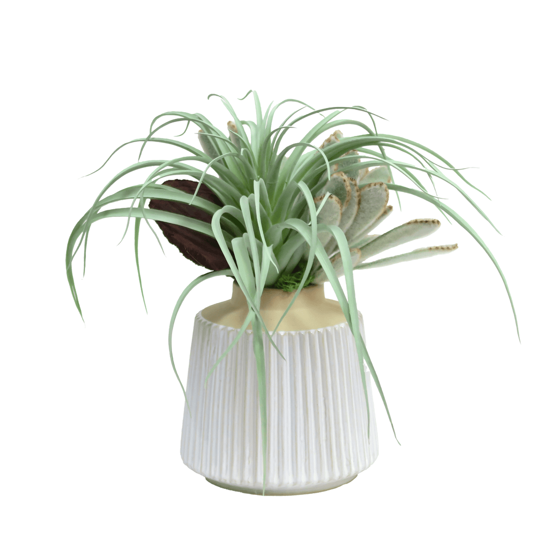 Tillandsia, Panda Succulent and Dried Mushroom in Ribbed Ceramic 12"H - LDF Silk