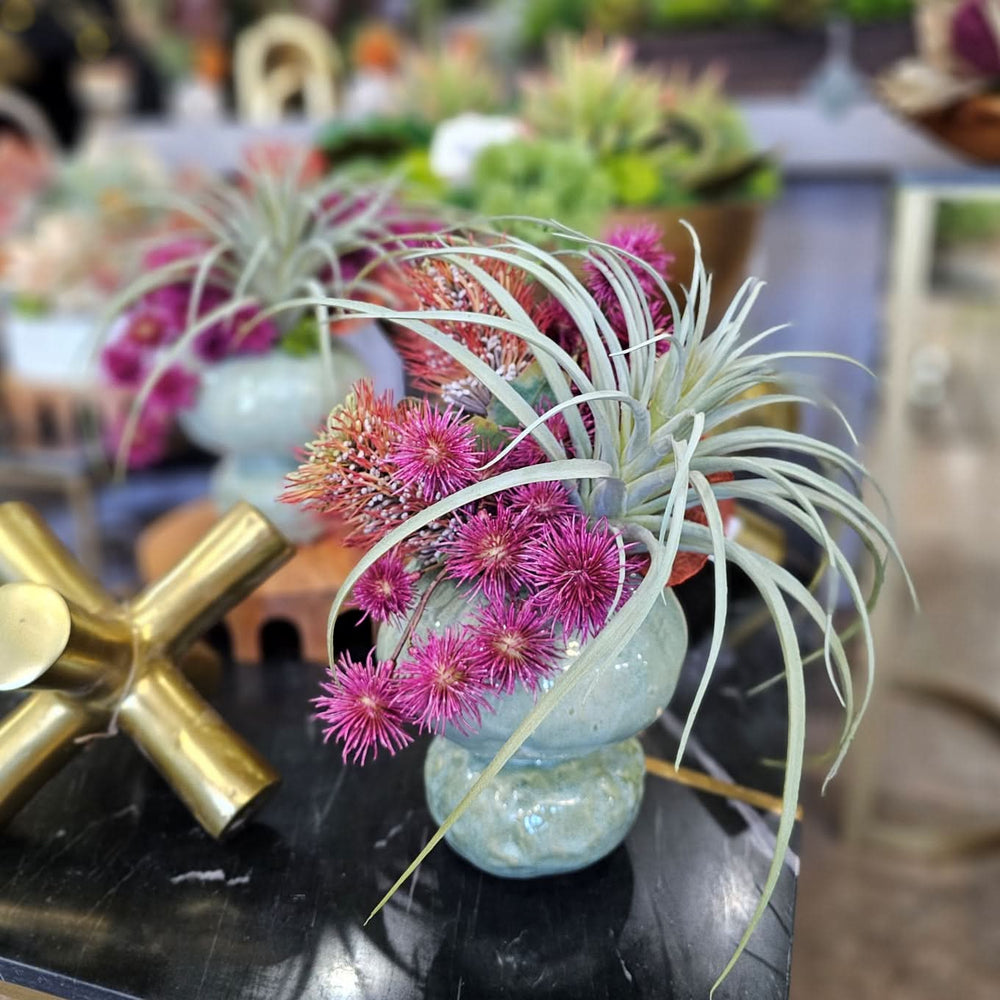 Tillandsia, Protea and Spikey Balls in Ceramic 14"H - LDF Silk