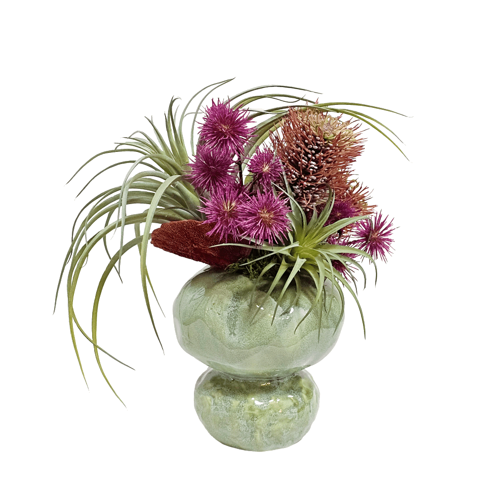 Tillandsia, Protea and Spikey Balls in Ceramic 14"H - LDF Silk