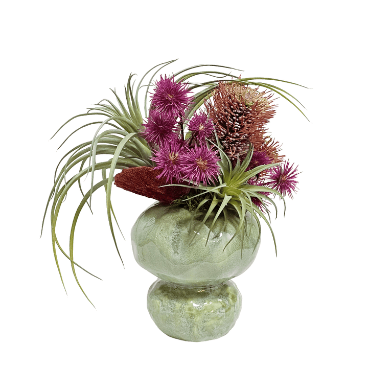 Tillandsia, Protea and Spikey Balls in Ceramic 14"H - LDF Silk