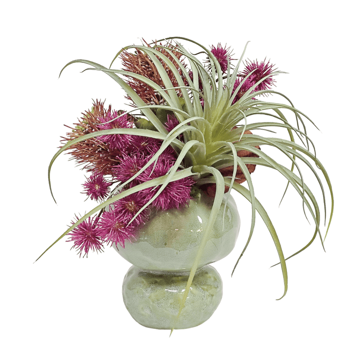 Tillandsia, Protea and Spikey Balls in Ceramic 14"H - LDF Silk