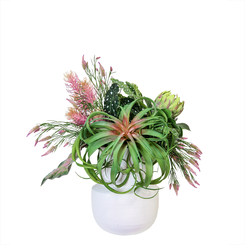 Tillandsia, Protea, Banksia, and Clover Spray with Caladium and Begonia Leaves in Ceramic 33"H - LDF Silk