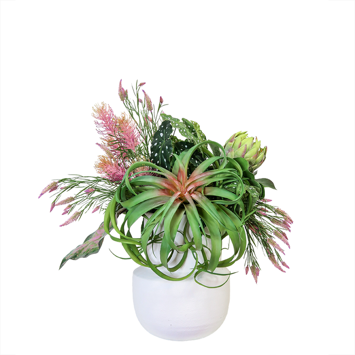Tillandsia, Protea, Banksia, and Clover Spray with Caladium and Begonia Leaves in Ceramic 33"H - LDF Silk