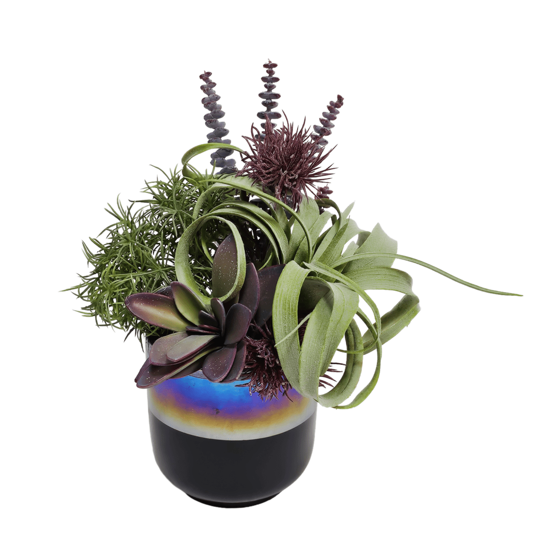 Tillandsia, Succulents, Allium, and Moss Pick in Ceramic Pot. 11"H - LDF Silk