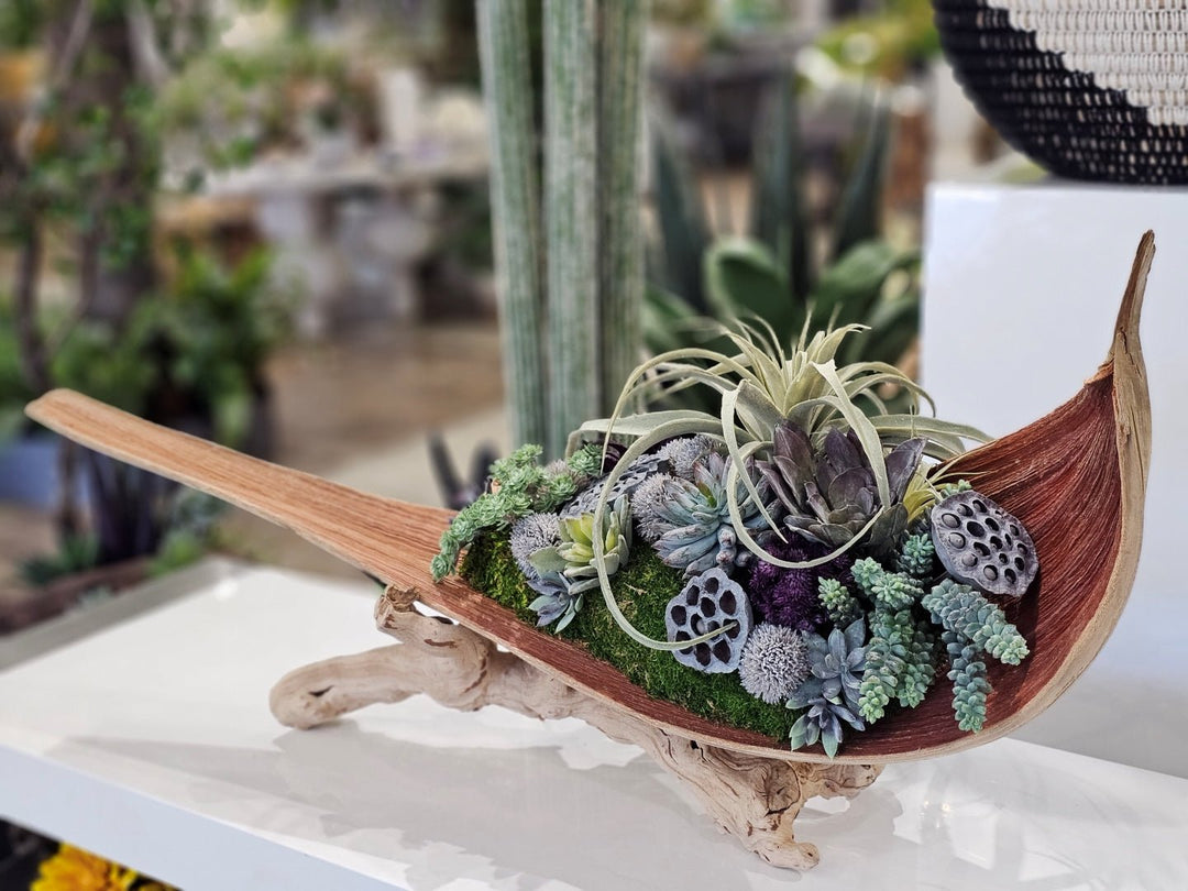 Tillandsia, Succulents, and Lotus Pods in Palm Paddle on Grapewood Base FH: 20"H - LDF Silk