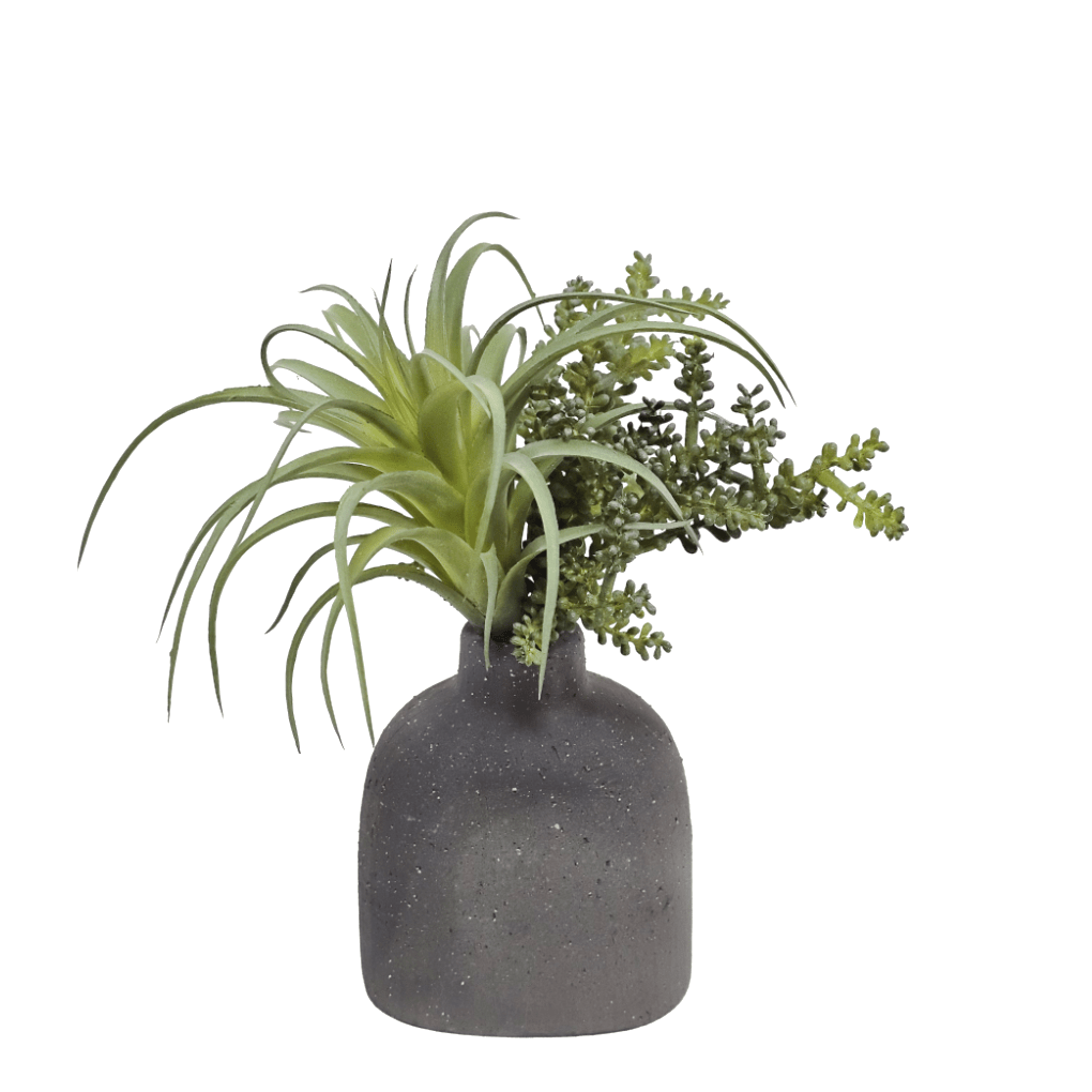 Tillandsia with Baby Tear Succulent in Ceramic Vase 8.5"H - LDF Silk