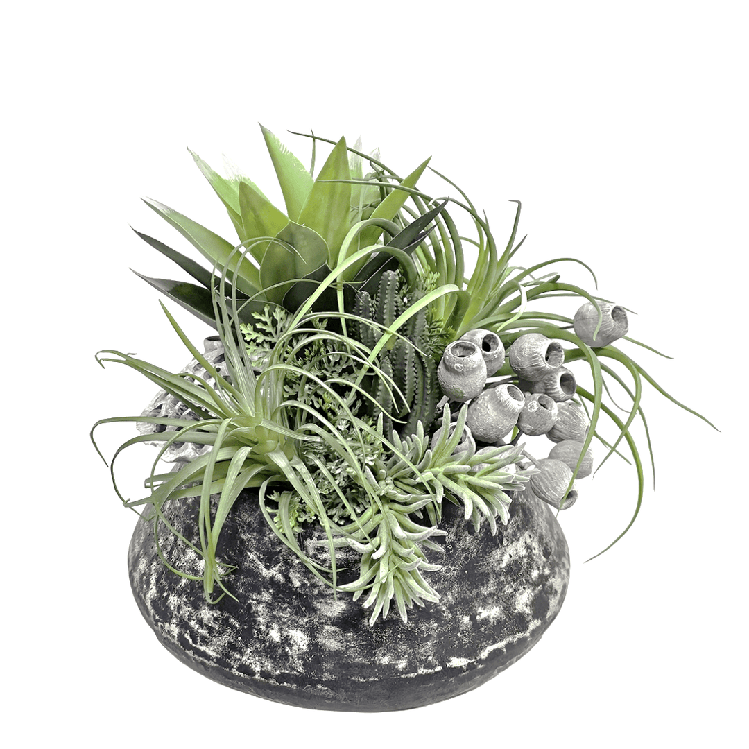 Tillandsia with Succulents and Dried Lotus pods in Aged Black Terra Cotta Bowl. FH: 11"H - LDF SilkArtificial Flora