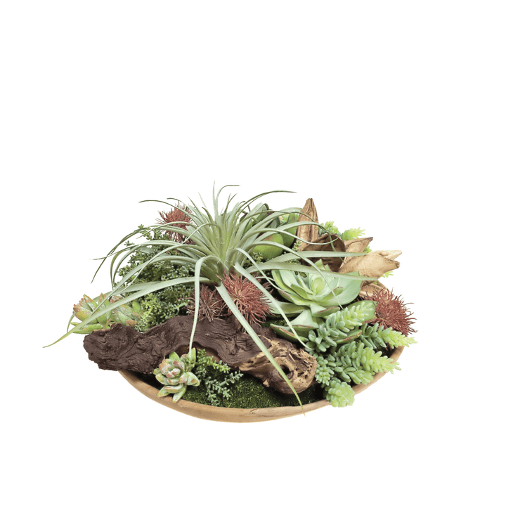 Tillandsia with Succulents, Wood Fragment and Sora Pods in Natural Wood Low Bowl 10"H - LDF Silk