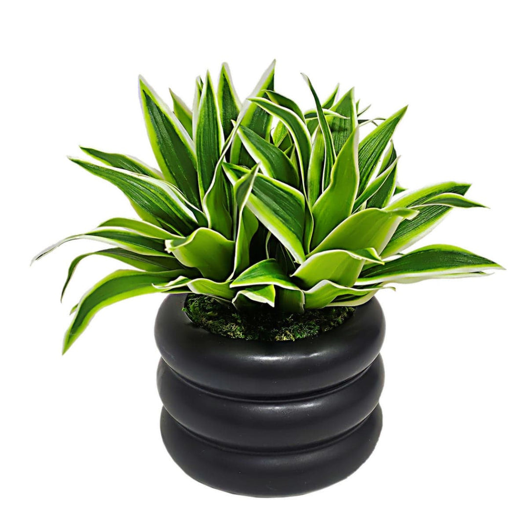 Tradescantia in Ceramic. FH: 8"H - LDF Silk