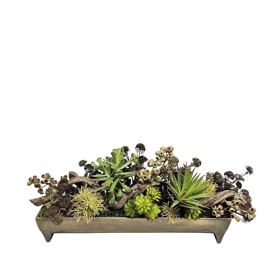 Twisted Vine with Mixed Succulents and Dried Accents in Metal Tray 9"H x 23"W x 9.5"D - LDF Silk
