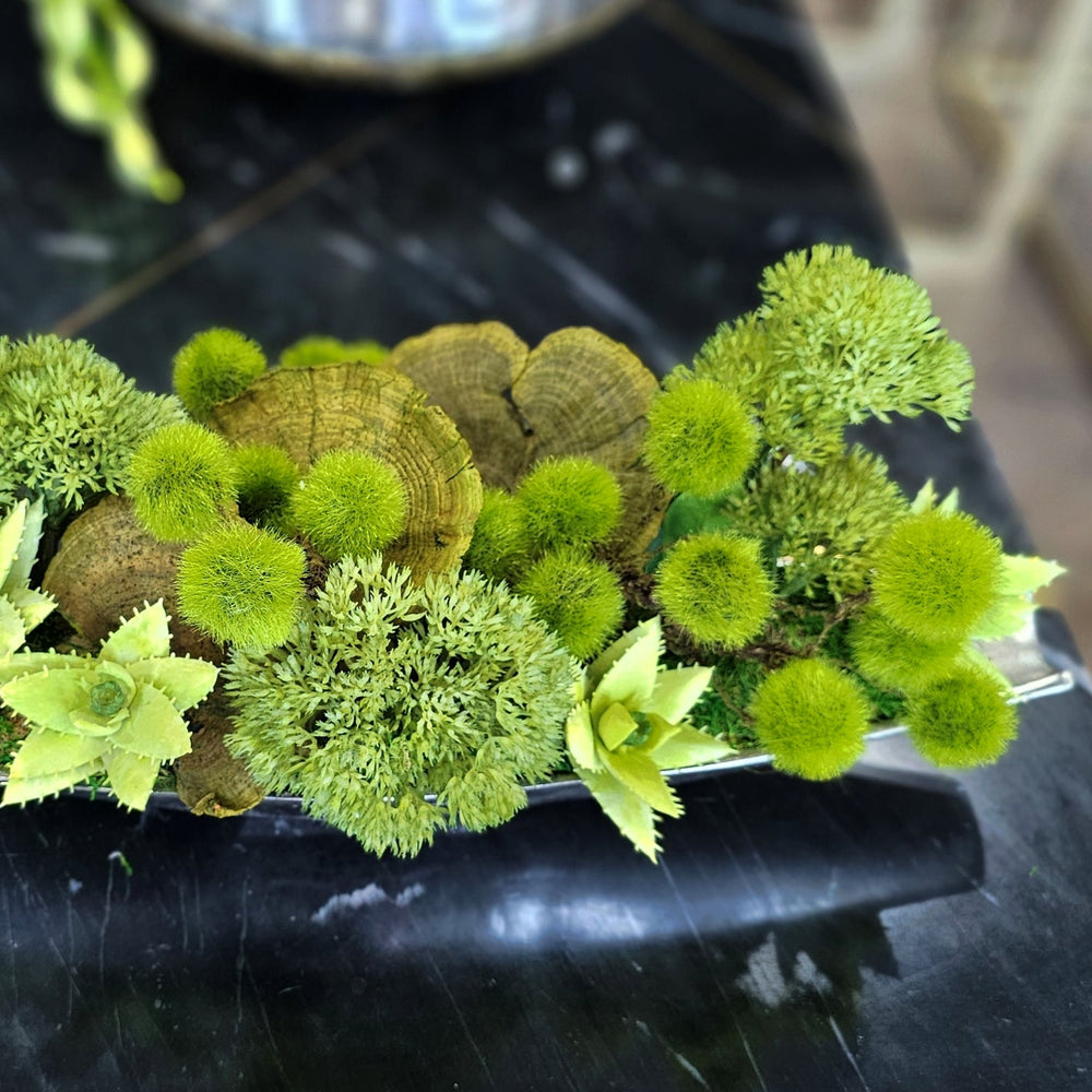 Various Allium, Mushrooms, and Aloe in Metal Boat. 10" H - LDF SilkArtificial Flora